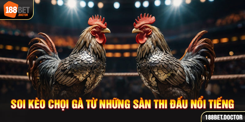 Oleybet paga